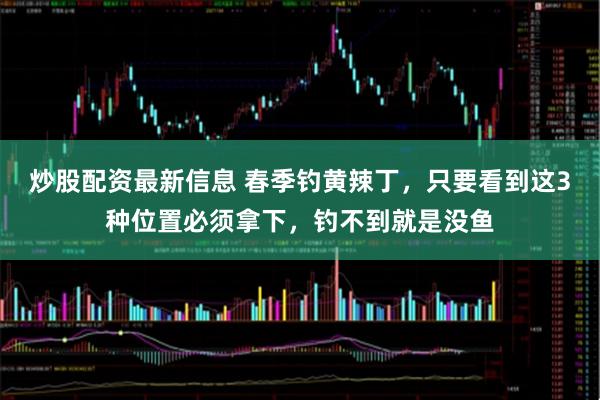 炒股配资最新信息 春季钓黄辣丁，只要看到这3种位置必须拿下，钓不到就是没鱼